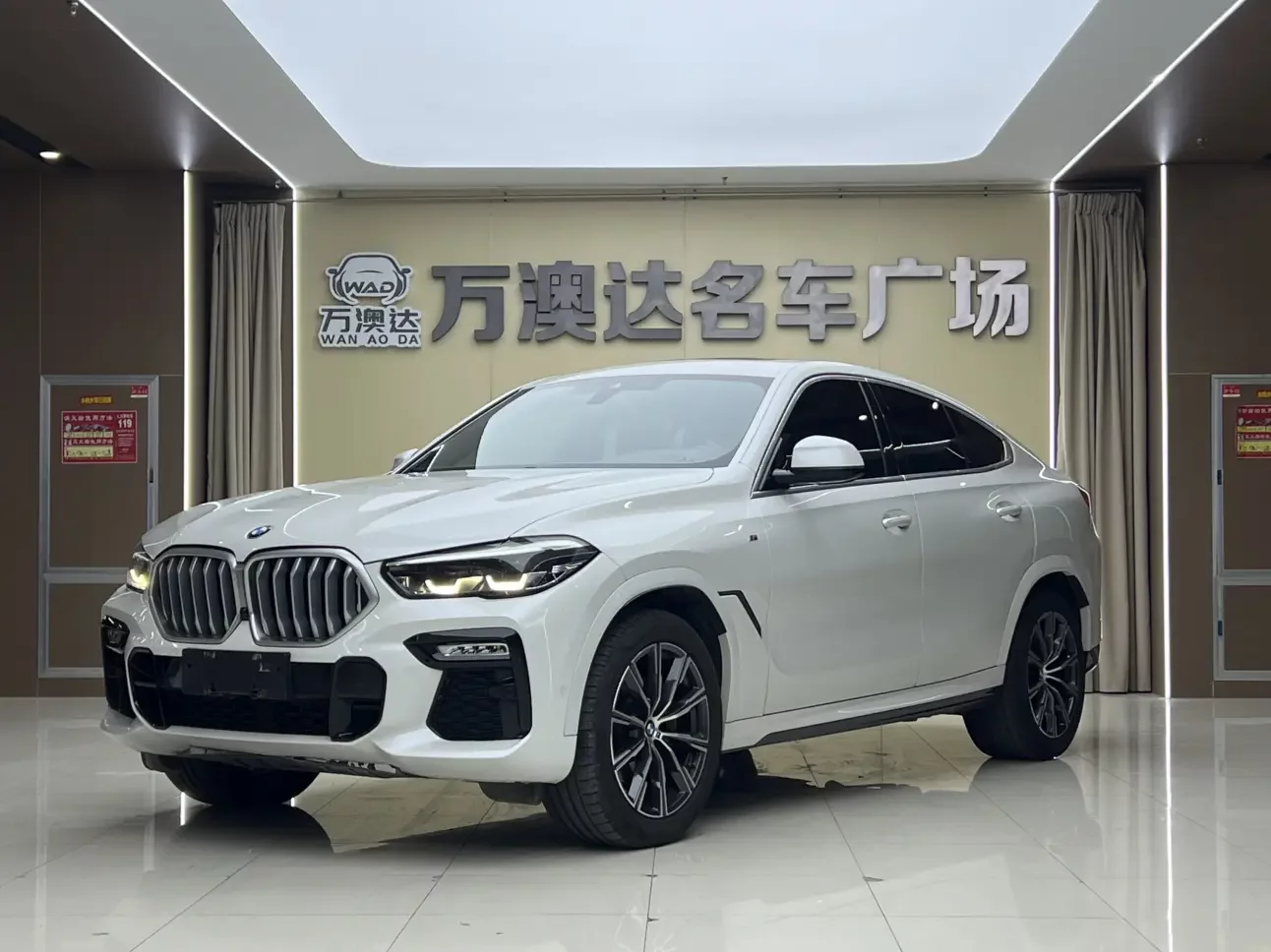BMW X6