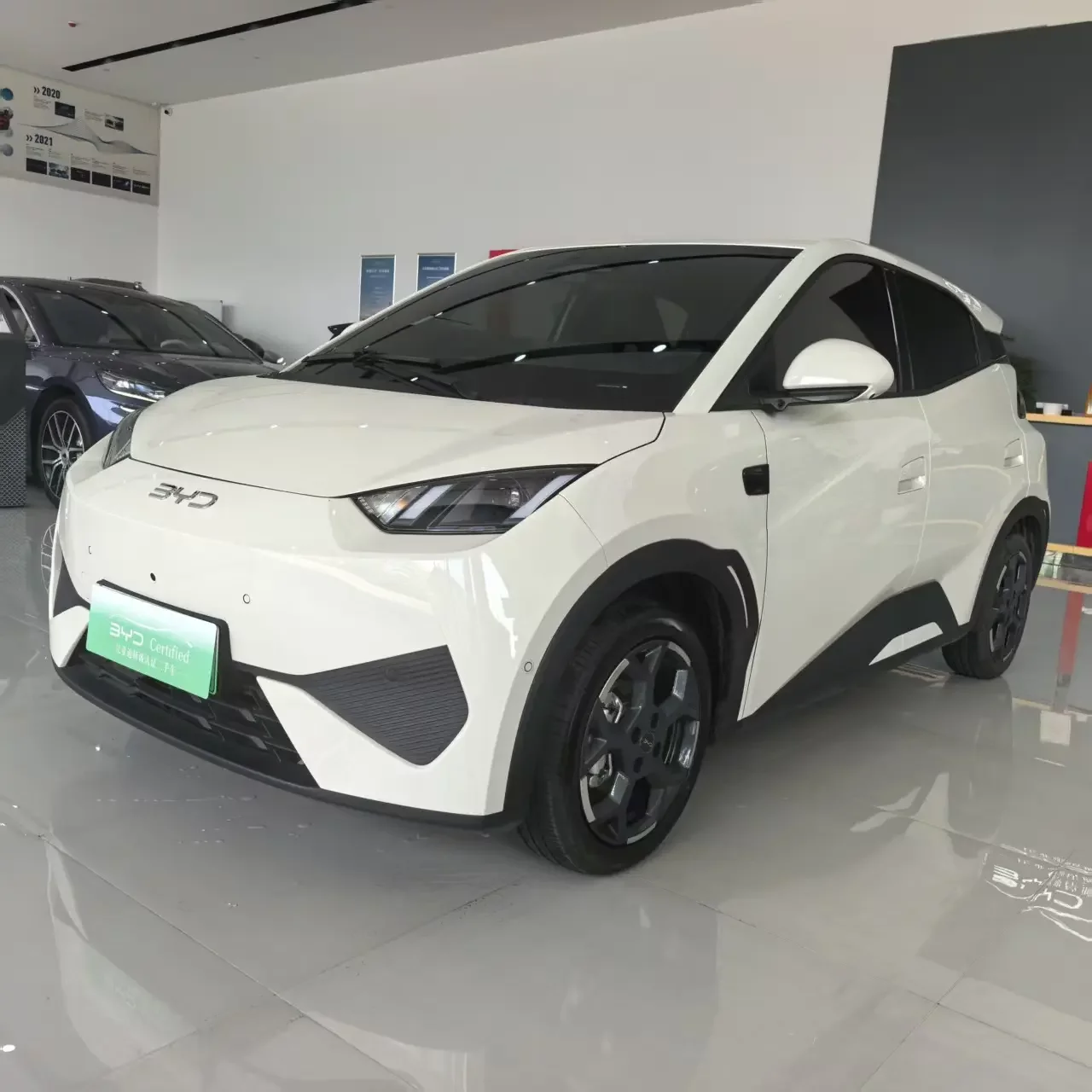 BYD seagull
