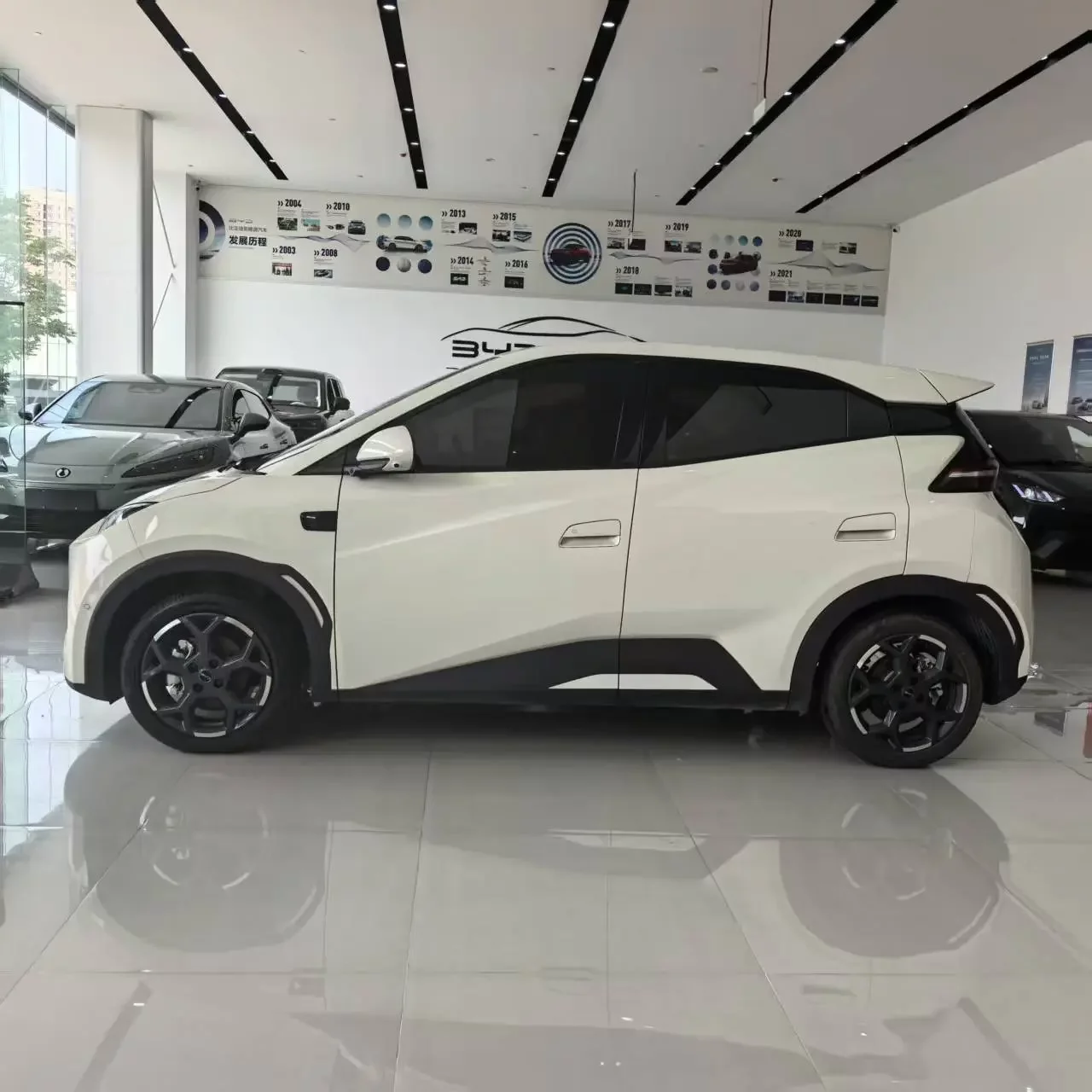 BYD seagull