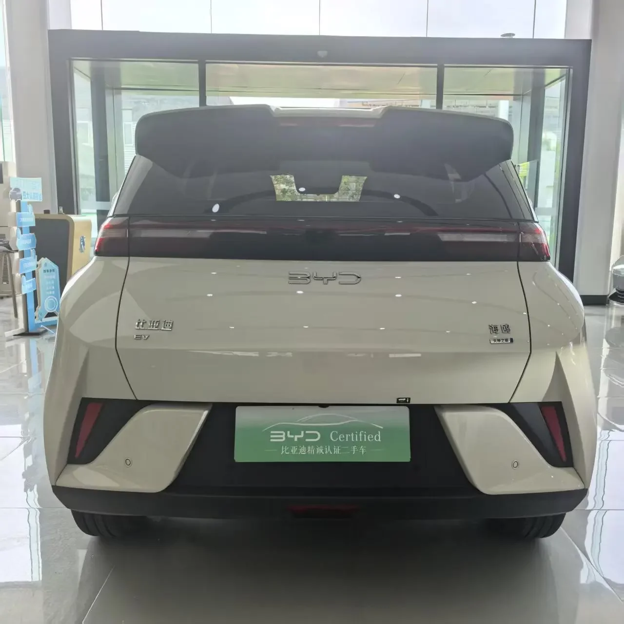 BYD seagull