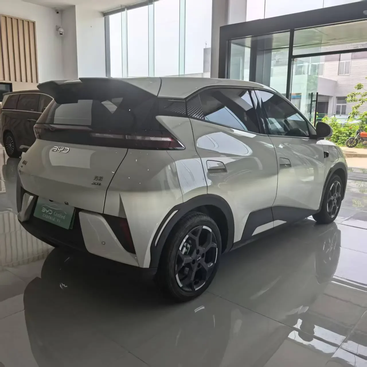BYD seagull