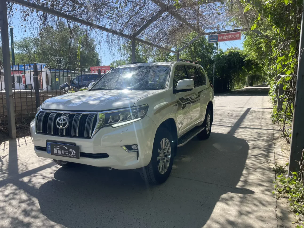 Toyota prado