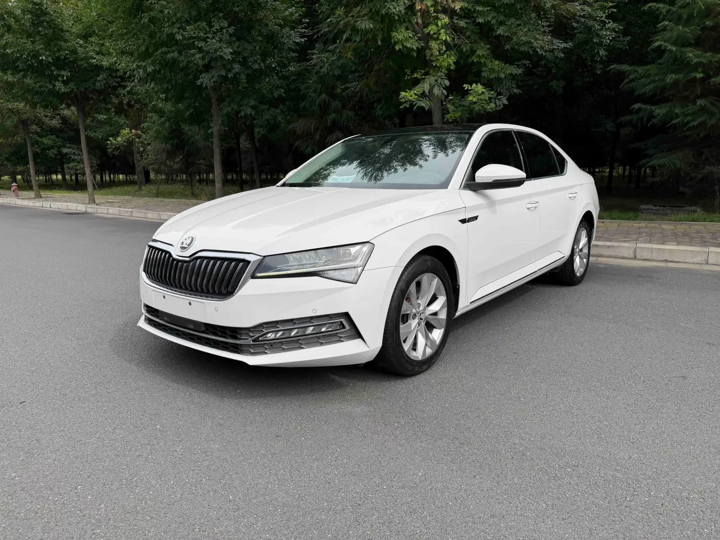 Skoda Speedy