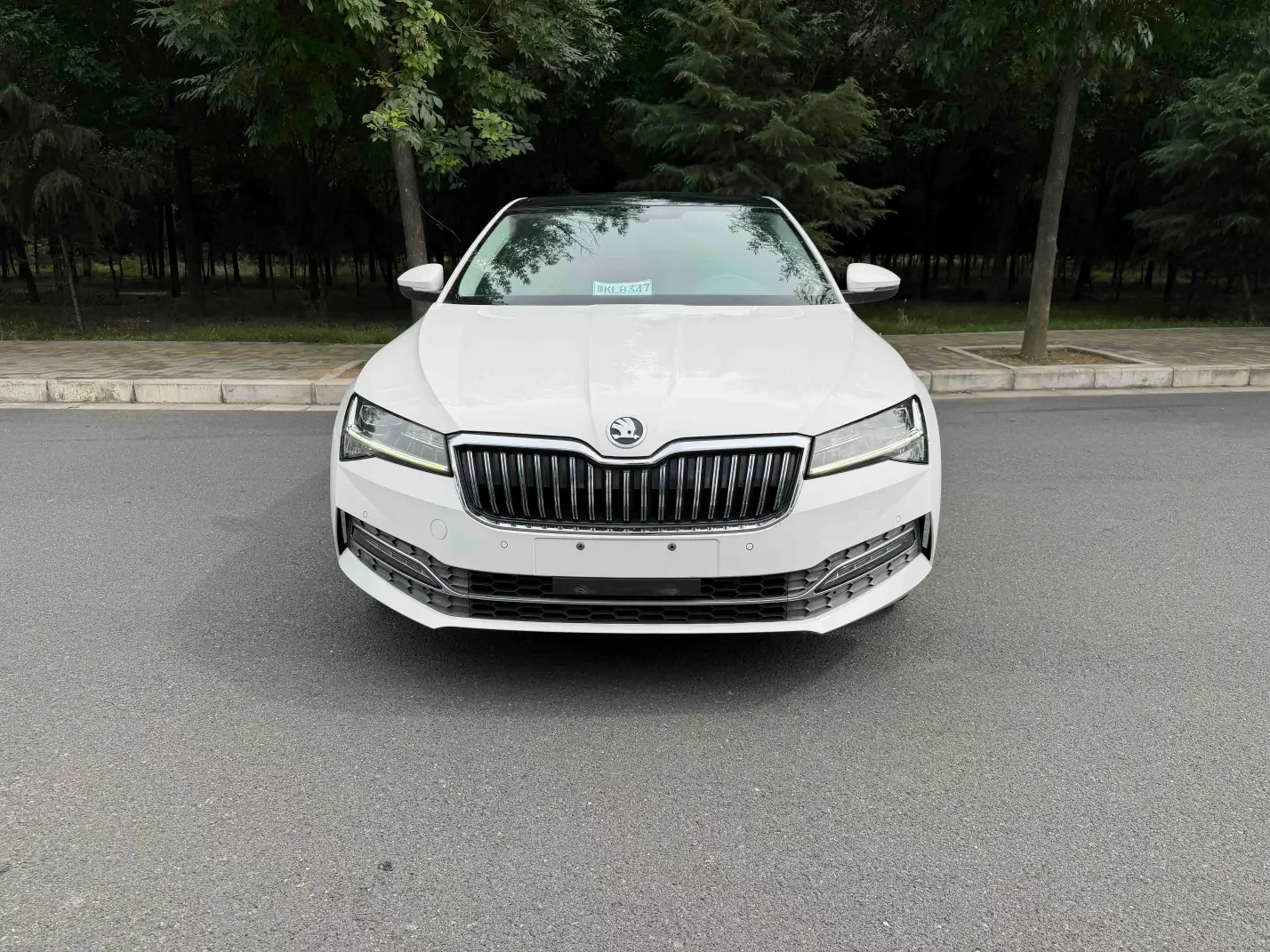 Skoda Speedy