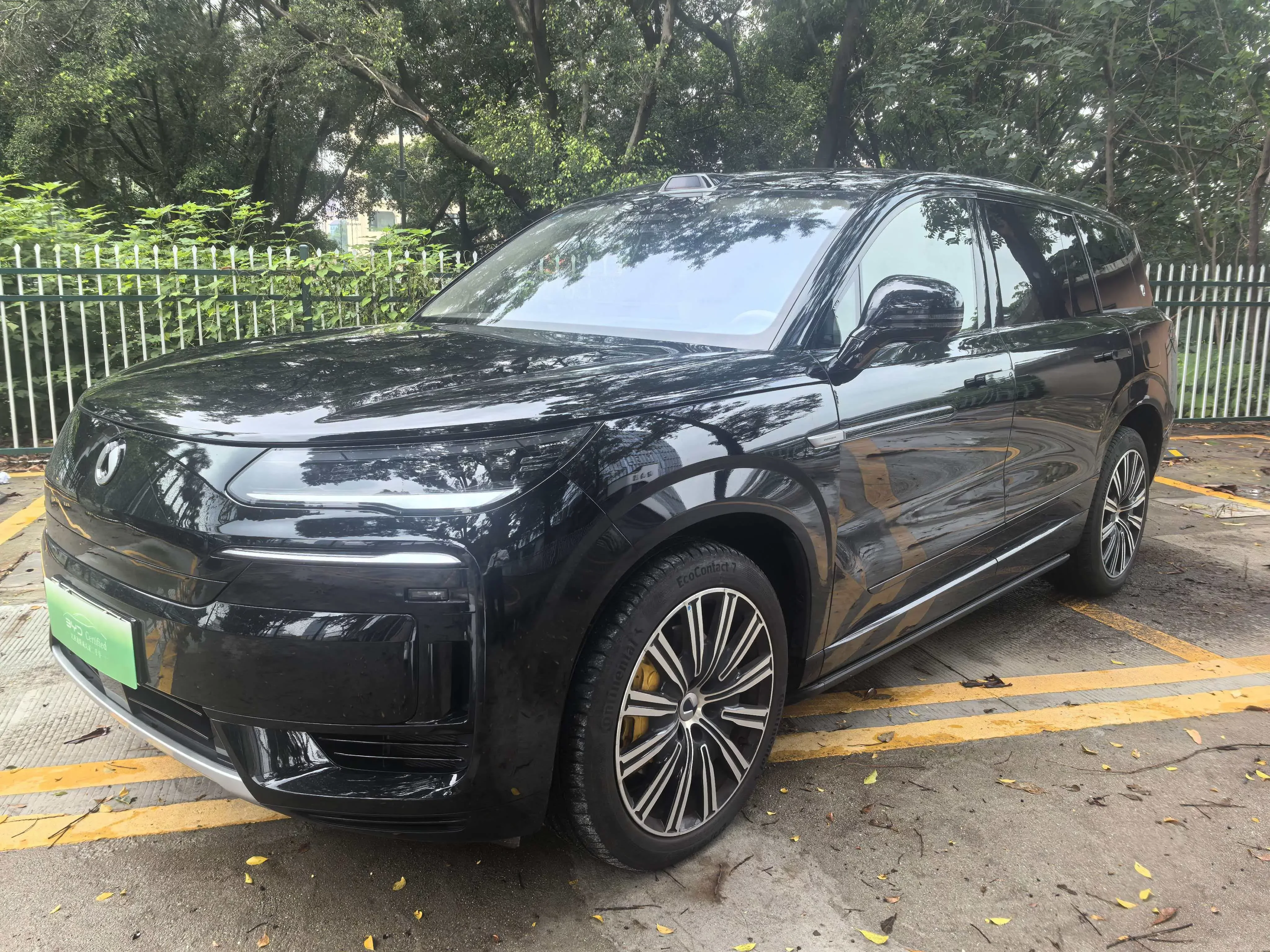 Denza Tengzhong N9 DM