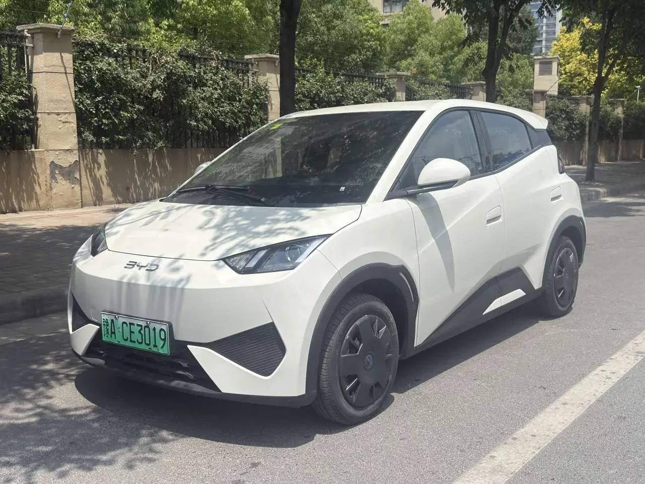 BYD seagull