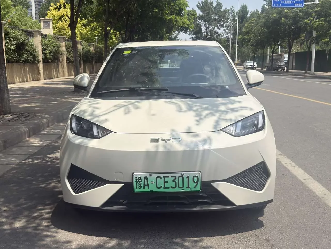 BYD seagull