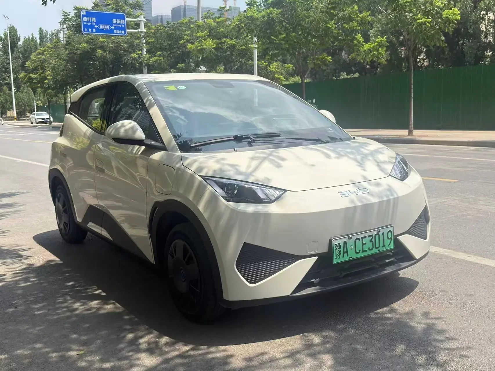 BYD seagull