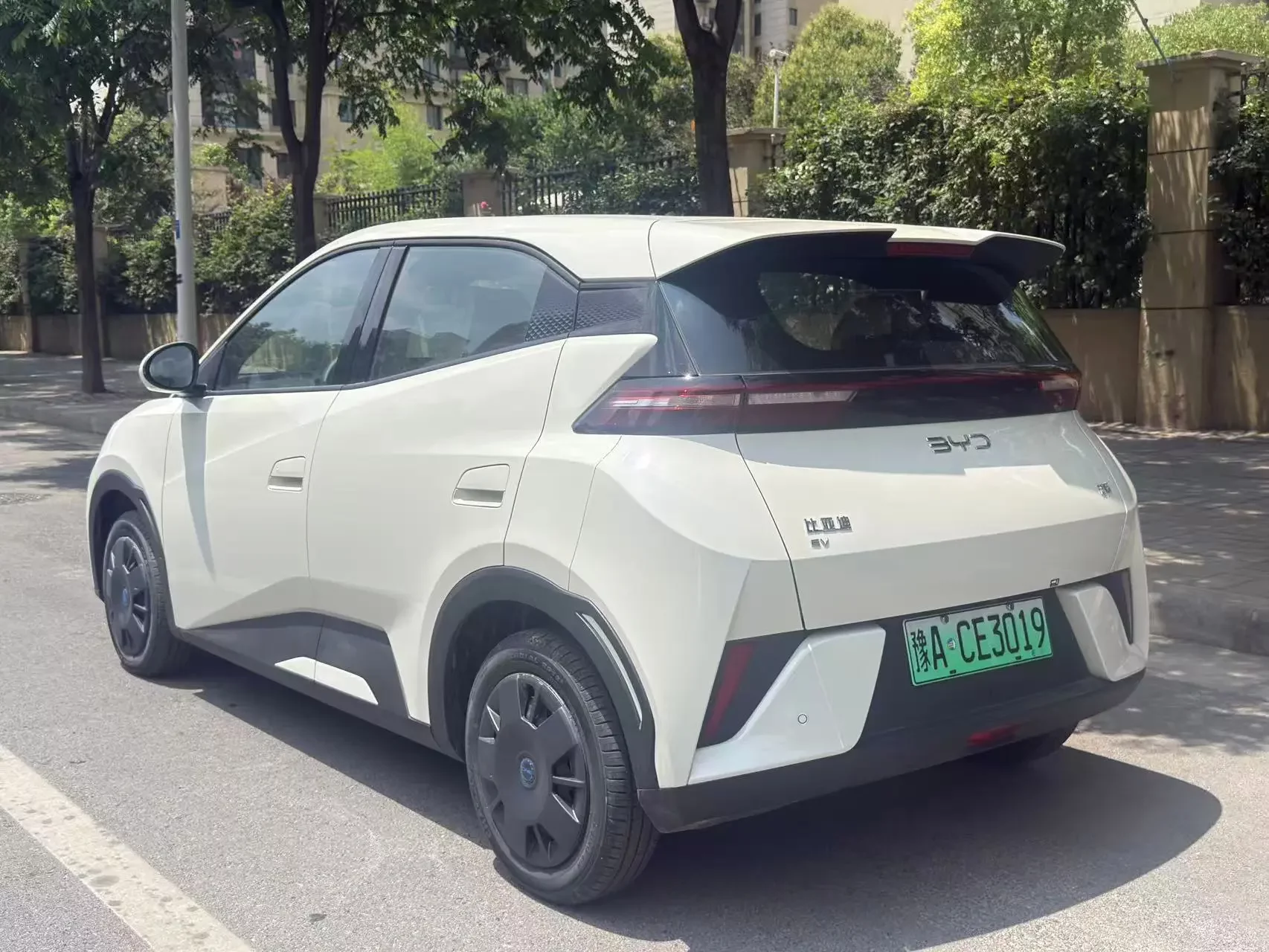 BYD seagull