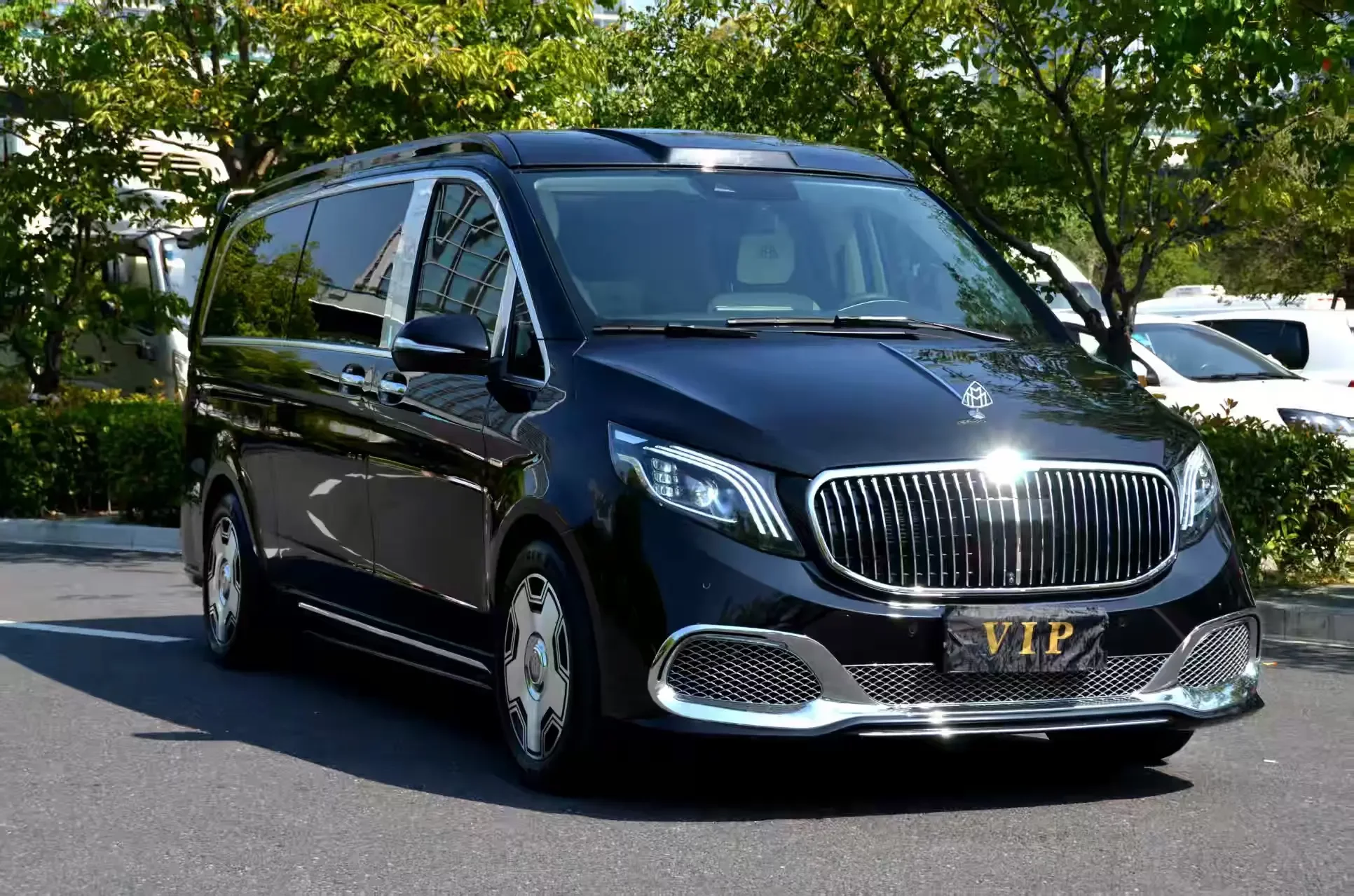 Mercedes-Benz V Class
