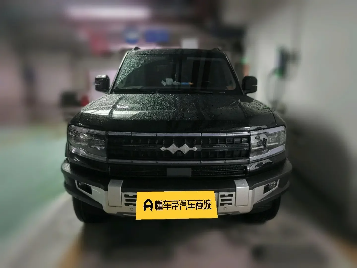 BYD Leopard Leopard 5