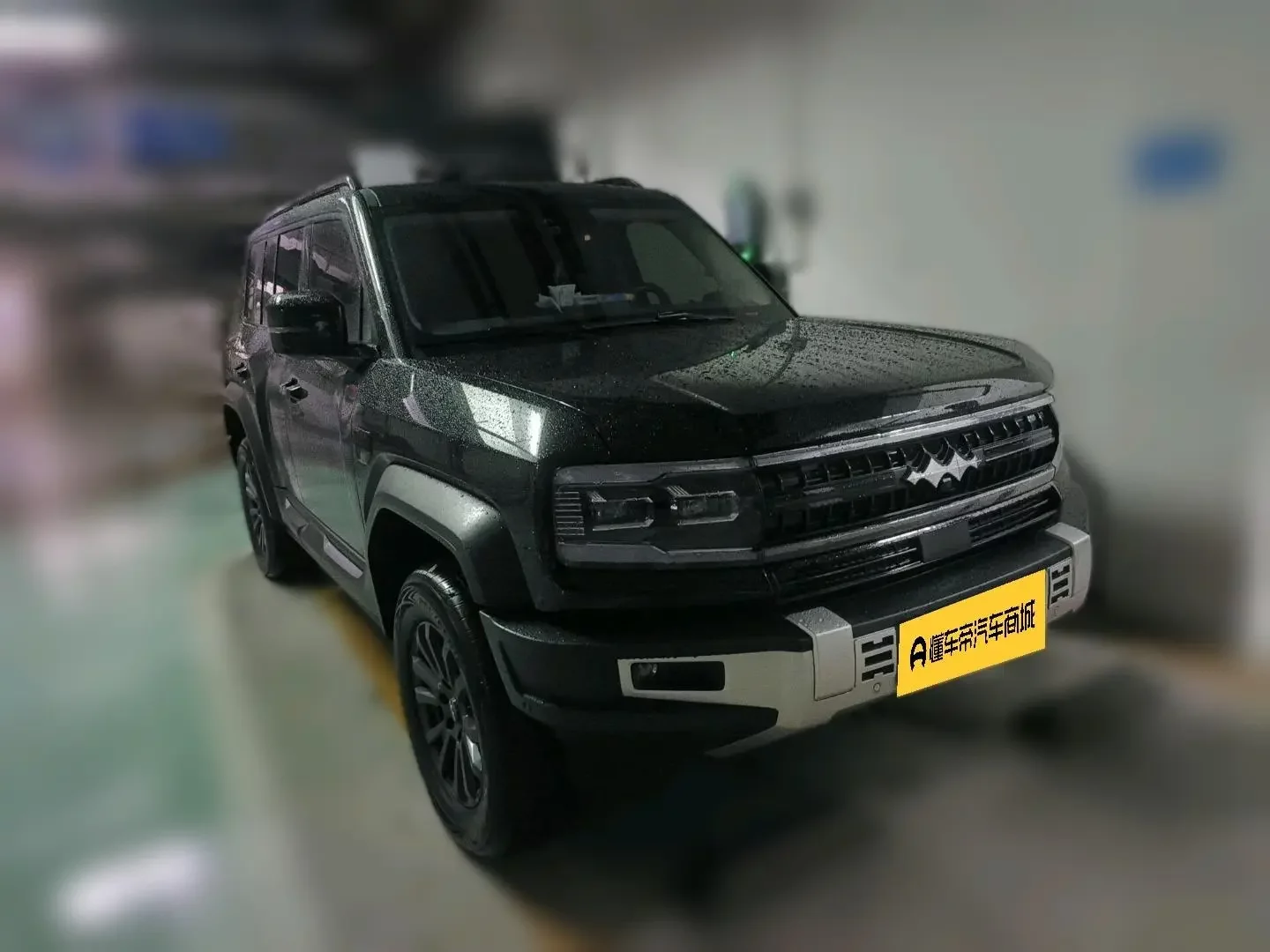 BYD Leopard Leopard 5