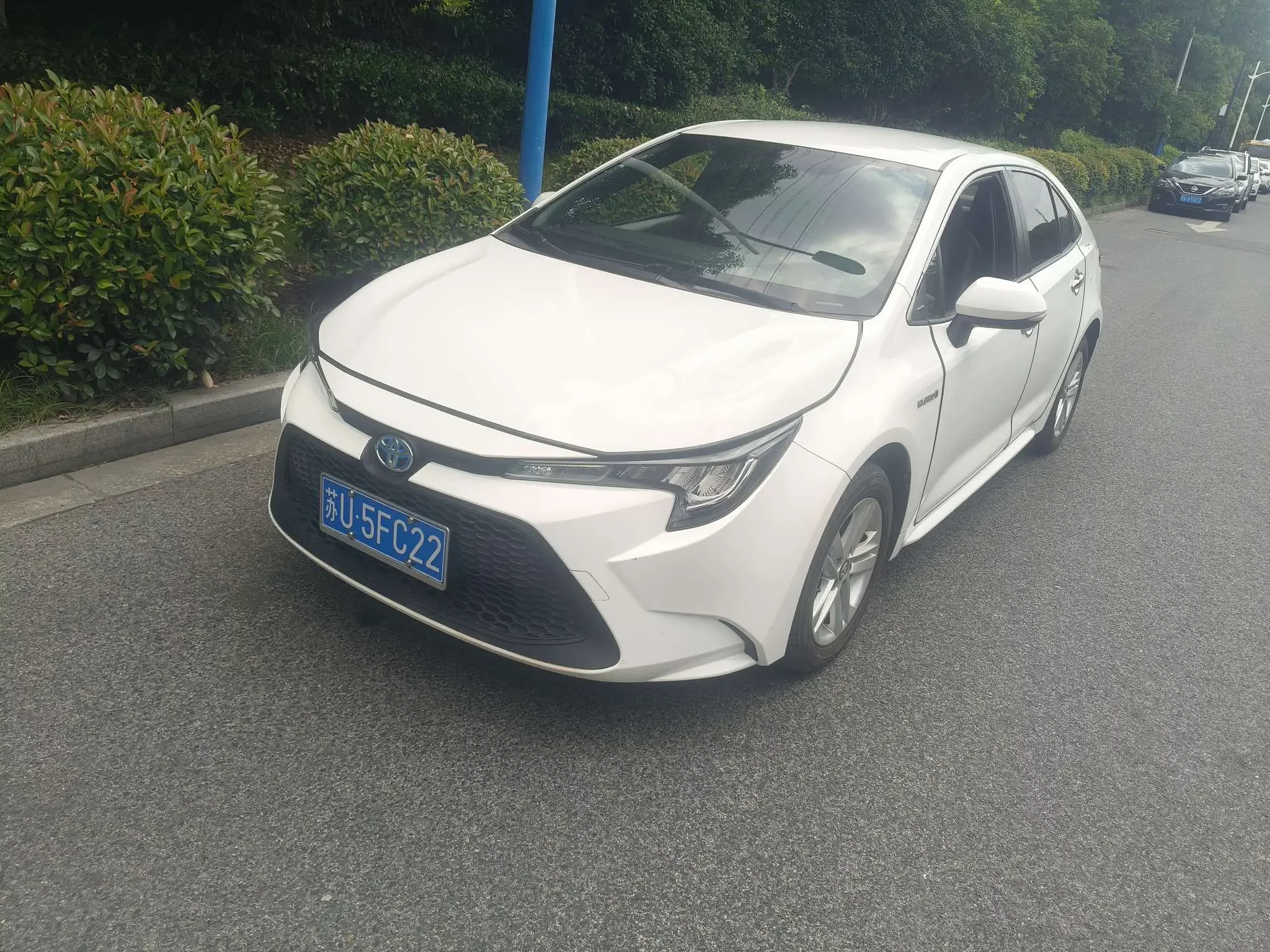 Toyota Levin