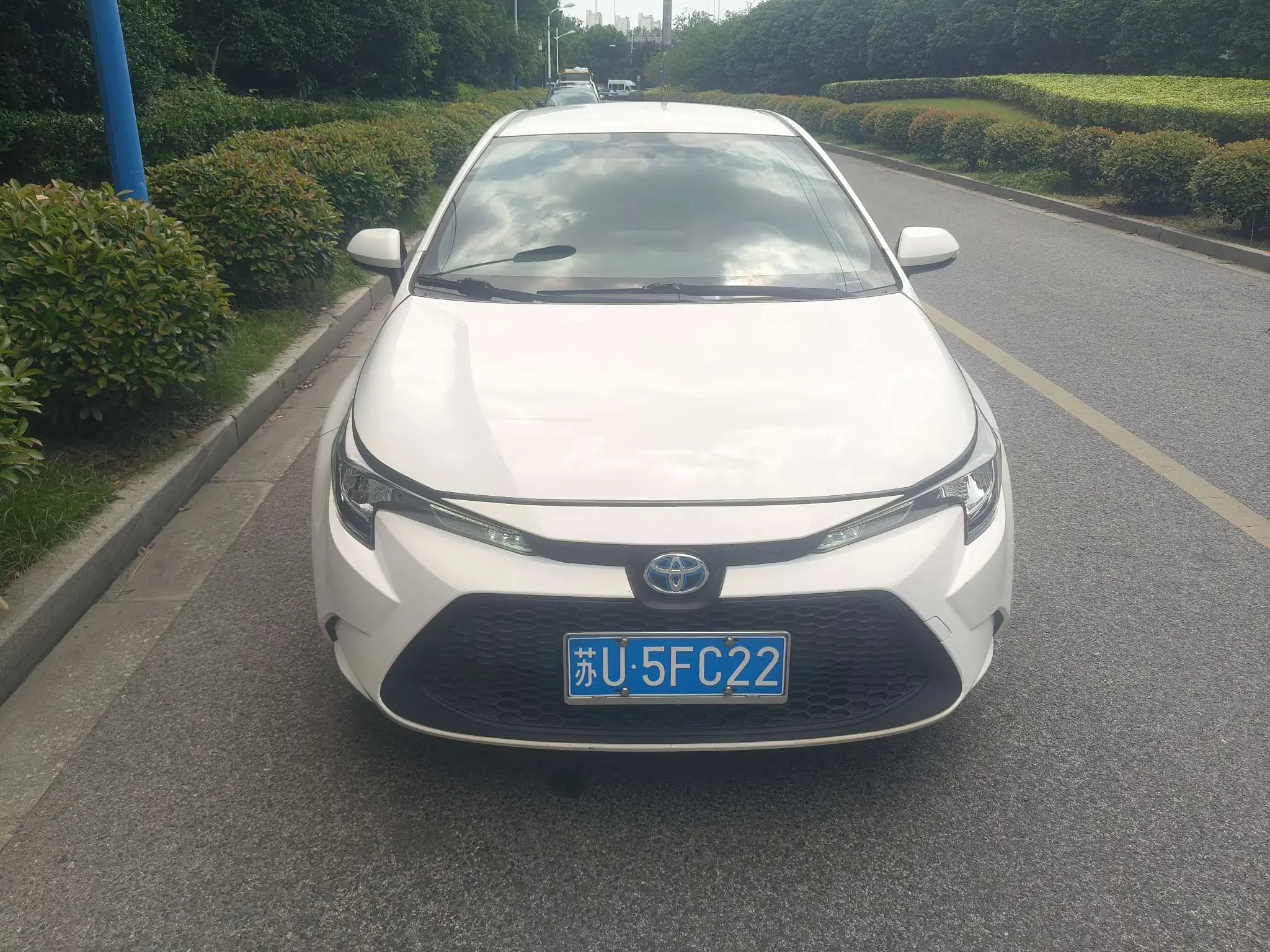 Toyota Levin