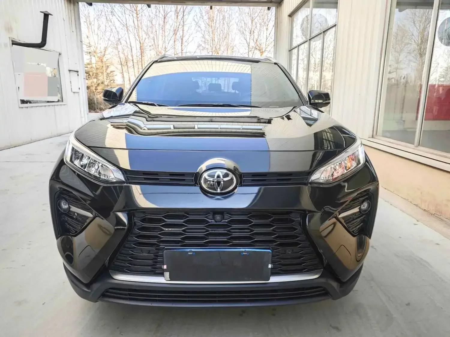 Toyota Willanda