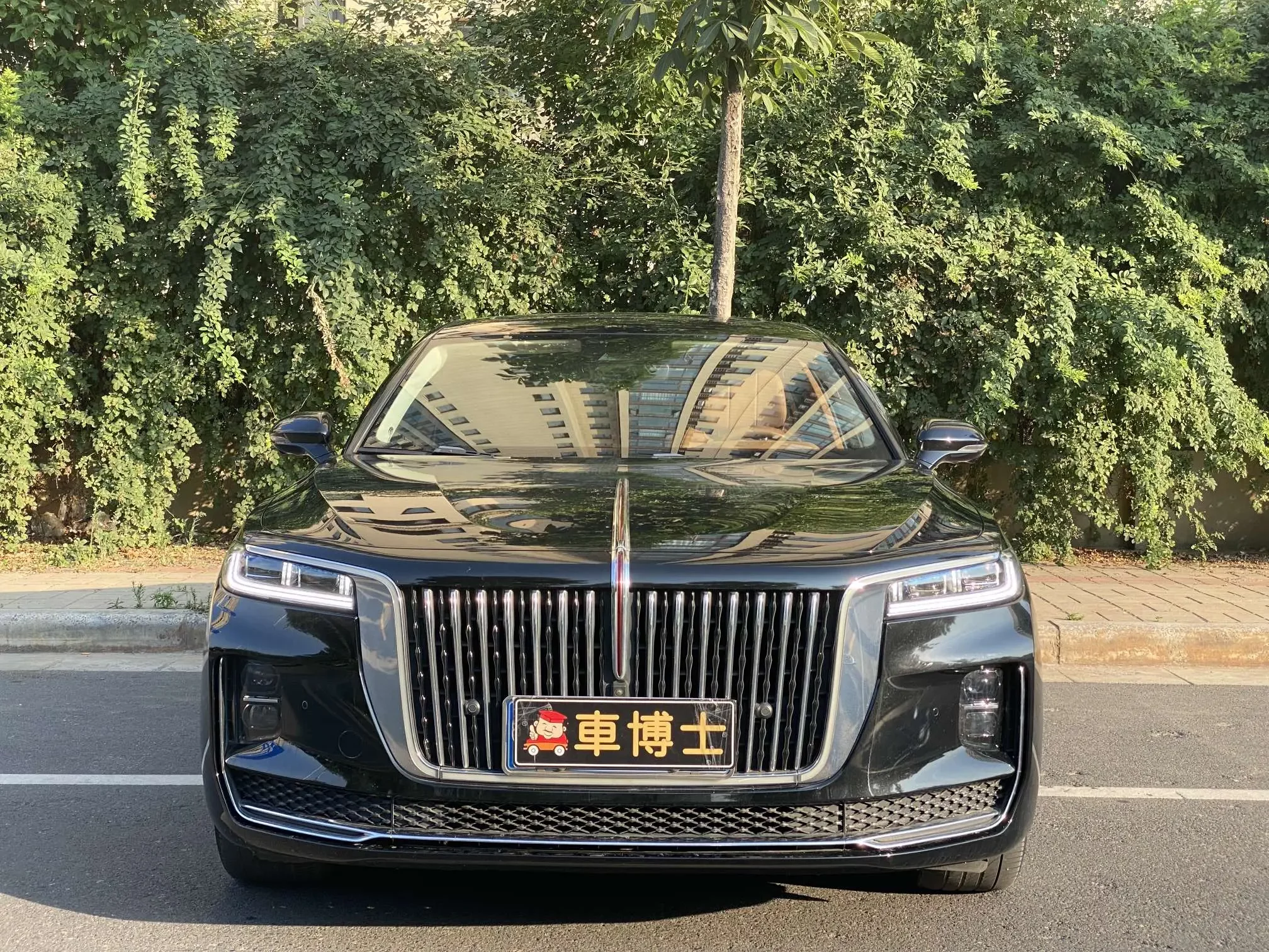 Hongqi H9