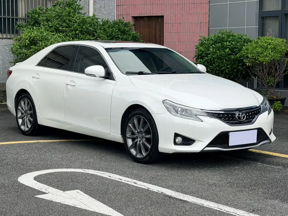Toyota Ruizhi