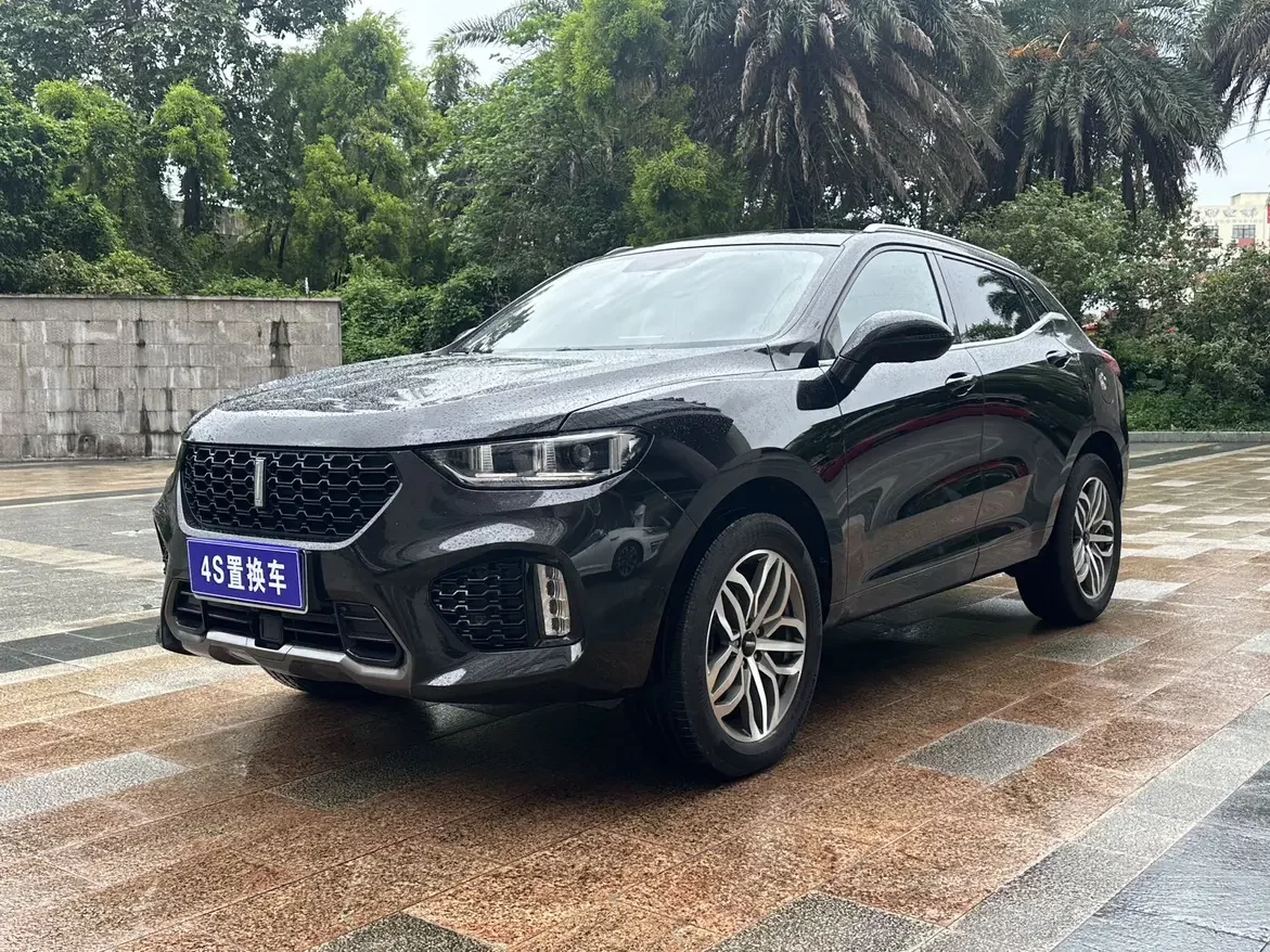 Wey Wei brand VV5