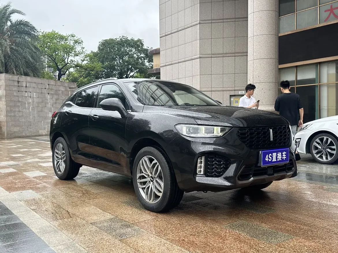 Wey Wei brand VV5