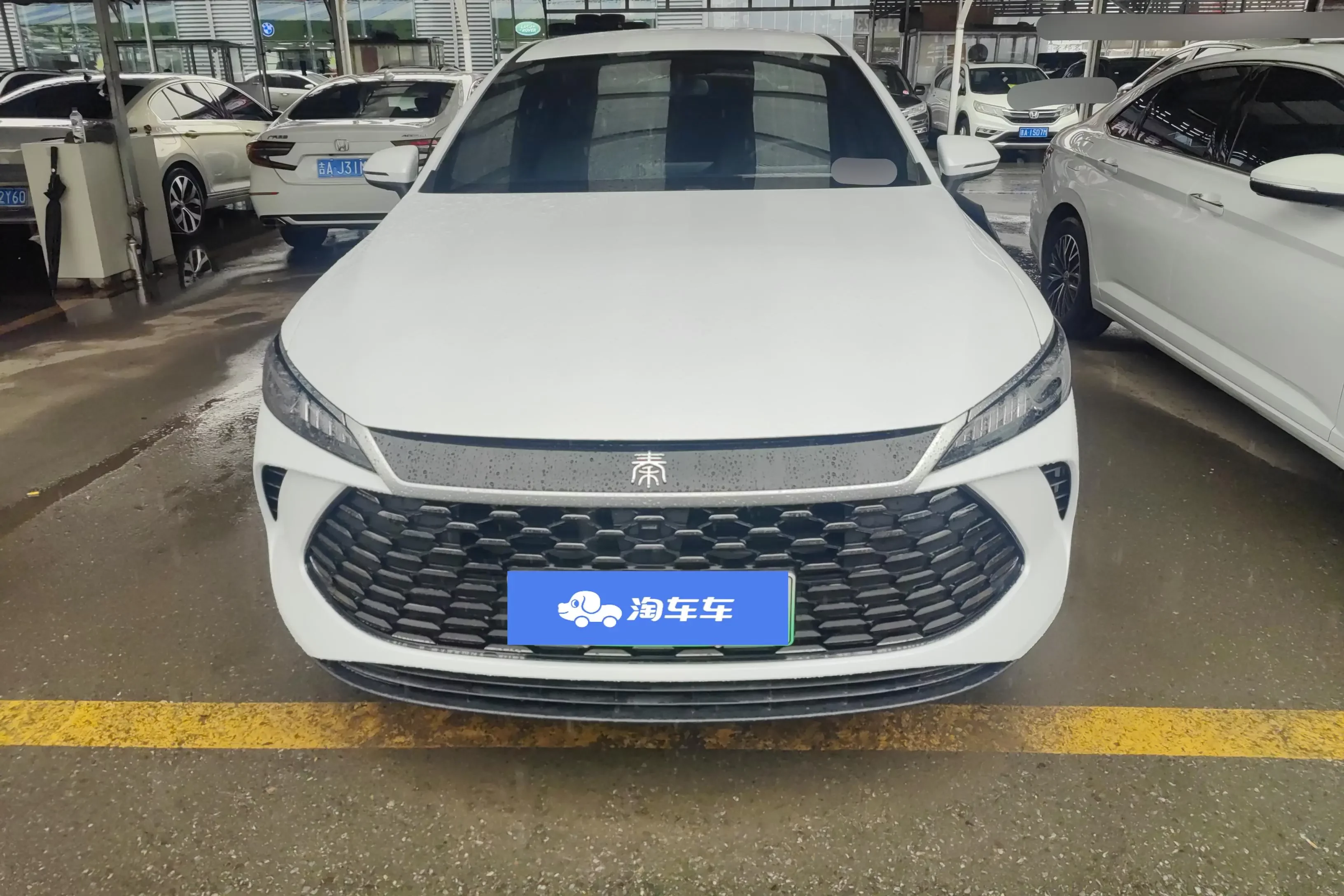 BYD Qin PLUS DM