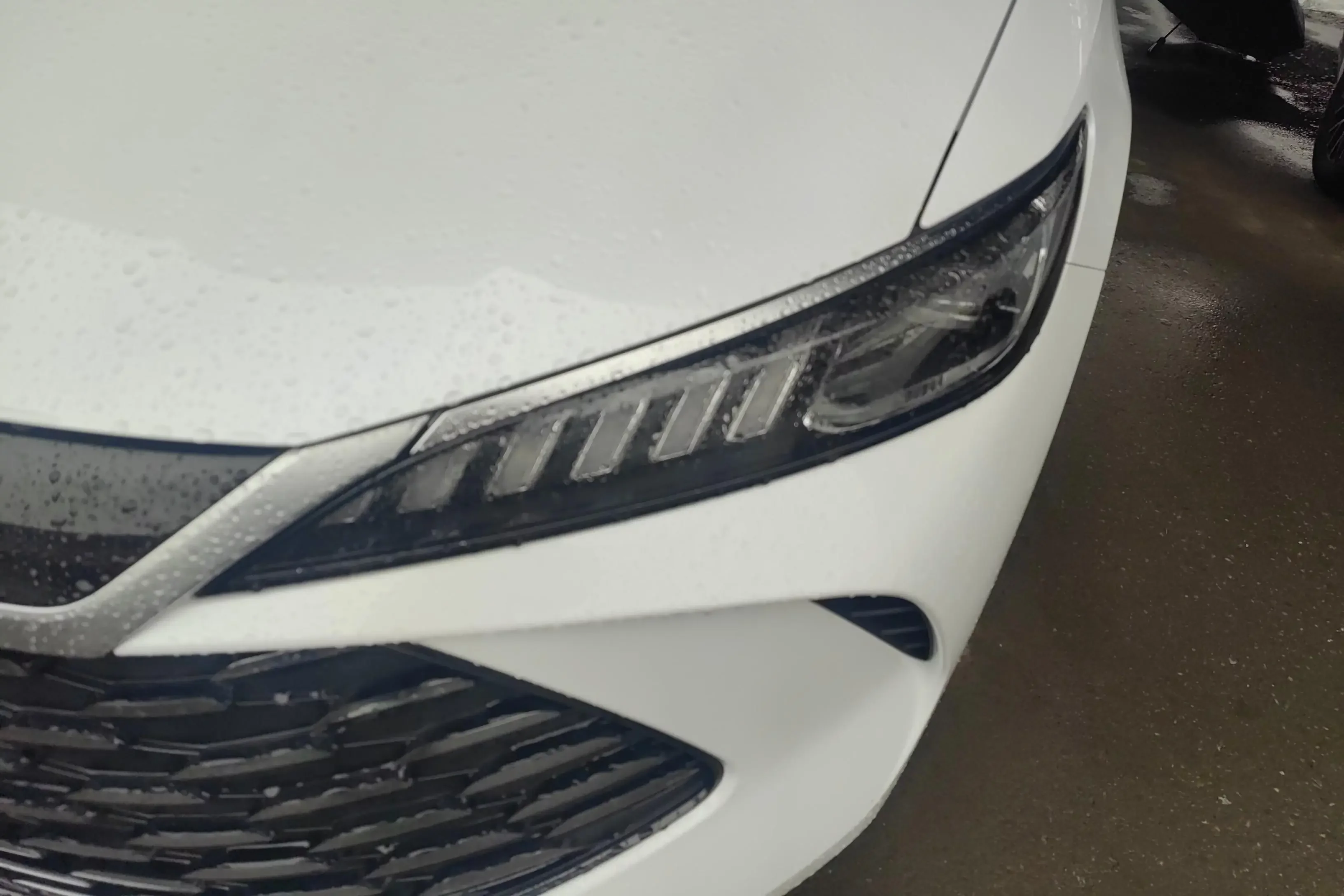 BYD Qin PLUS DM