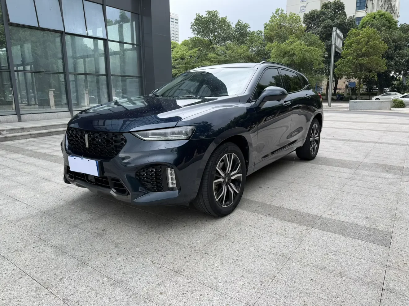 Wey Wei brand VV7