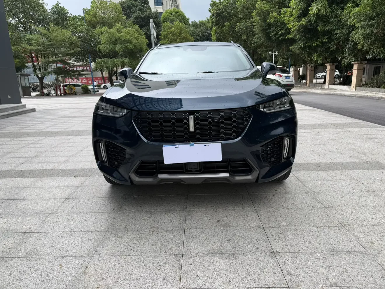 Wey Wei brand VV7