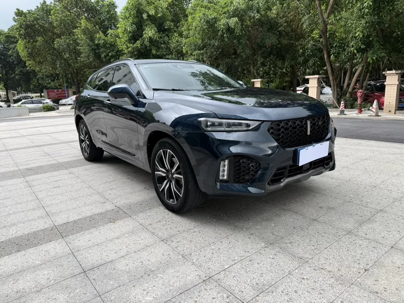 Wey Wei brand VV7