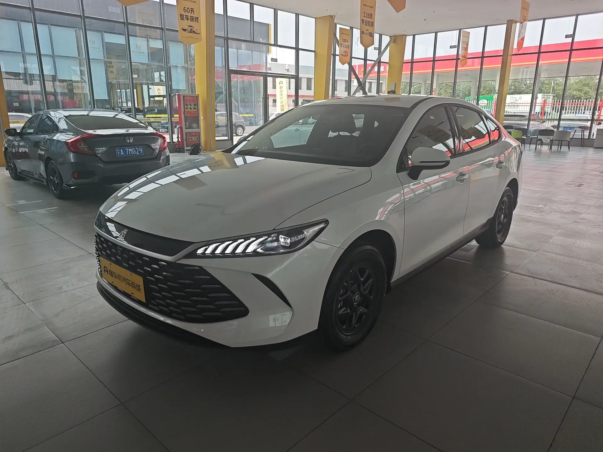 BYD Qin PLUS DM