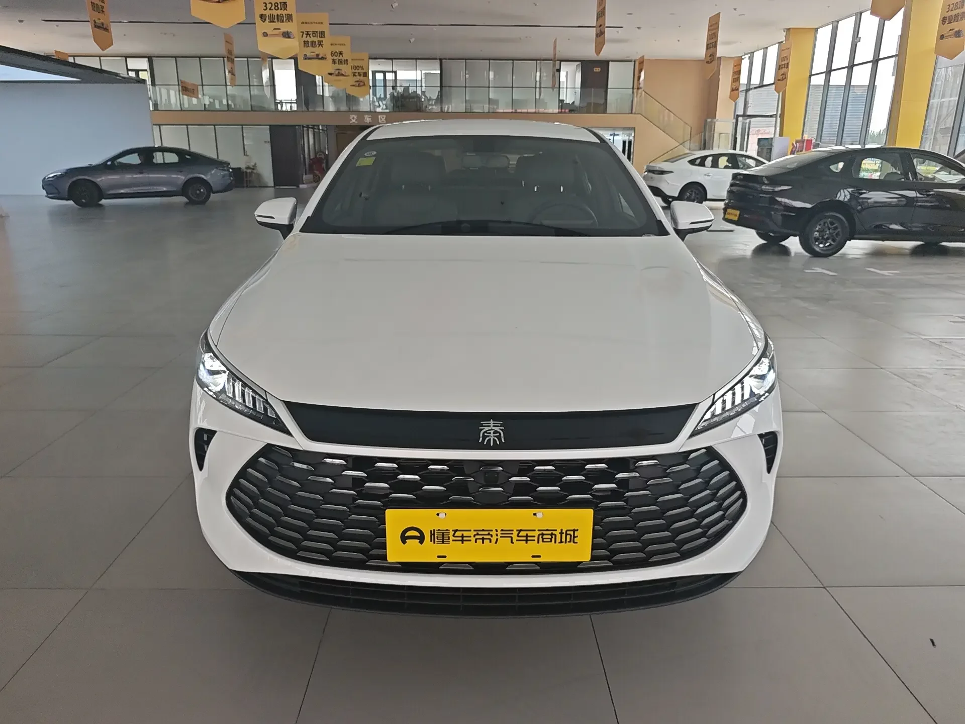 BYD Qin PLUS DM