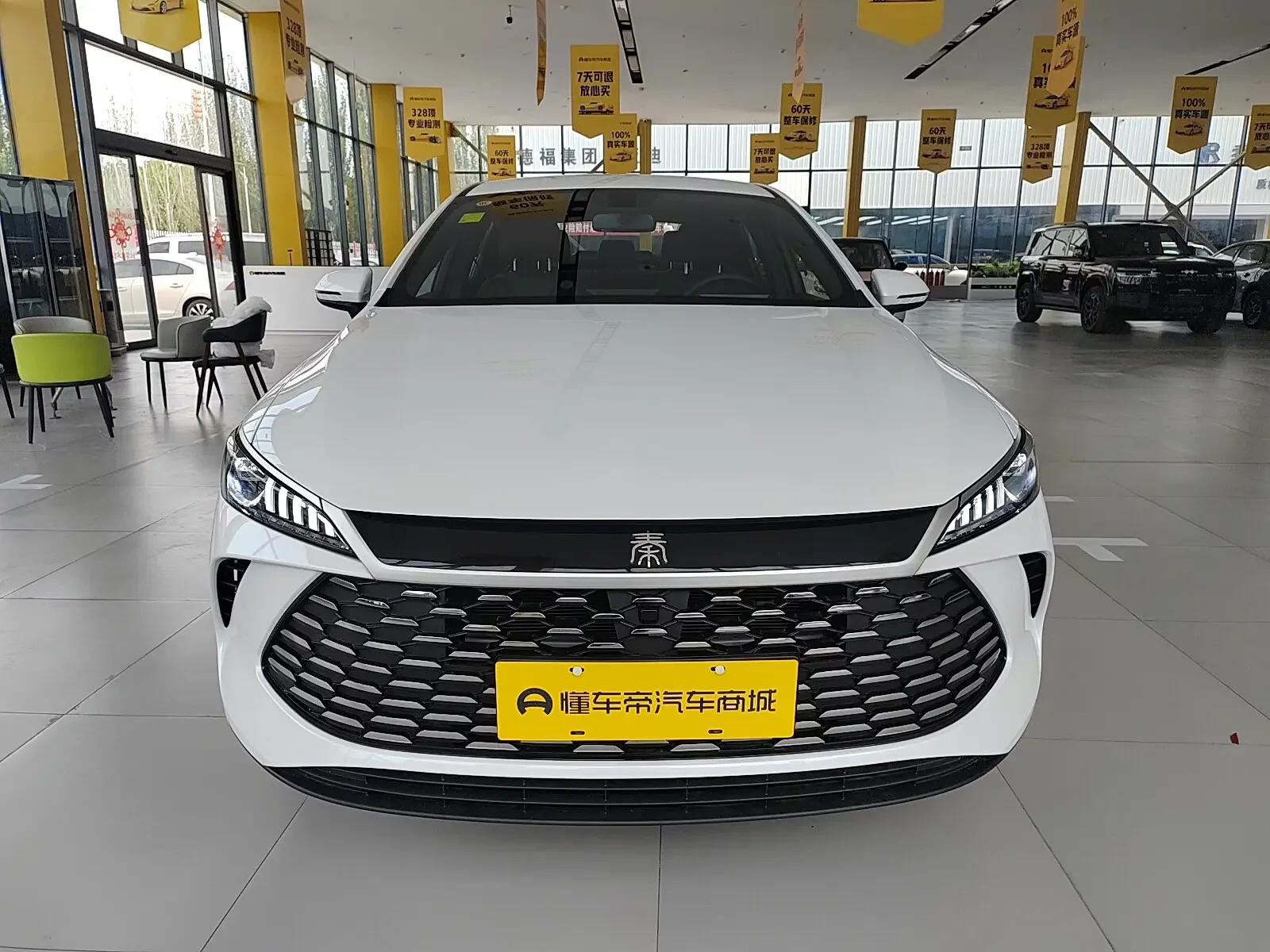 BYD Qin PLUS DM