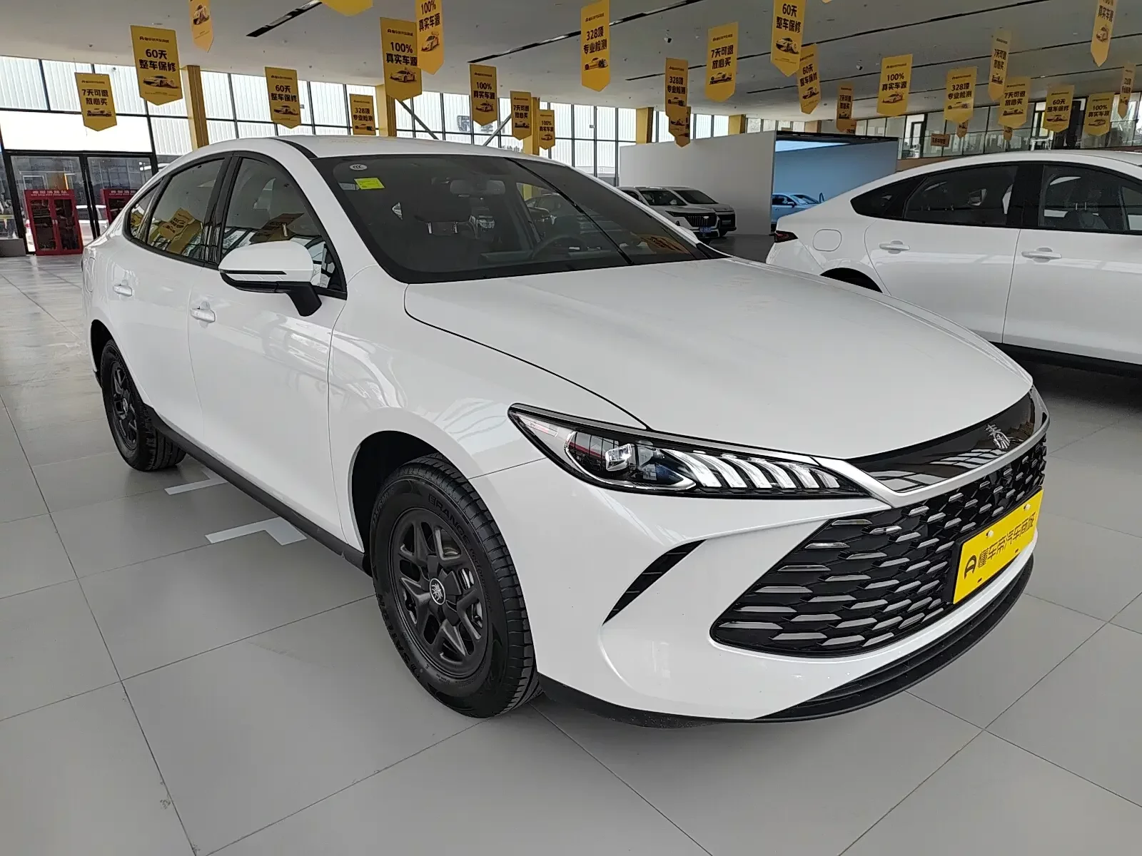 BYD Qin PLUS DM