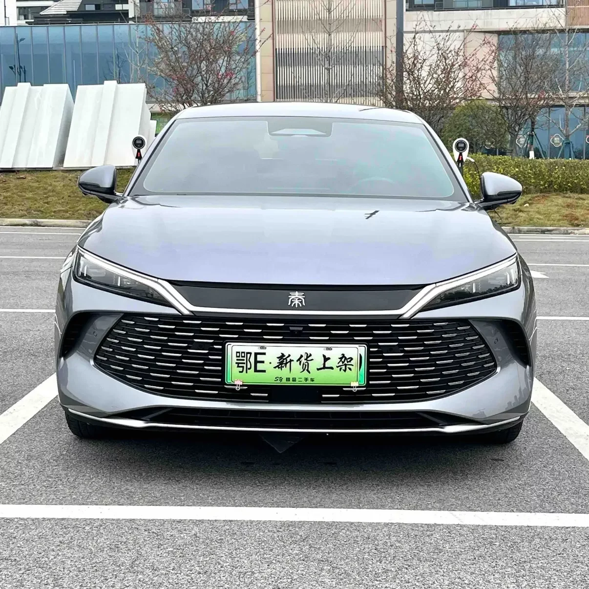 BYD Qin L DM