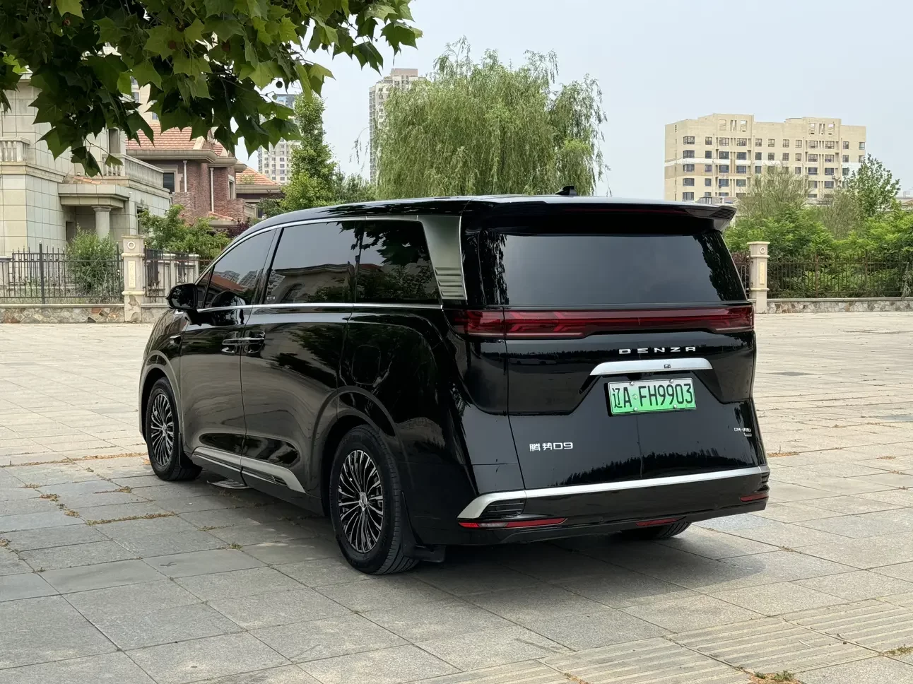 Denza D9 DM
