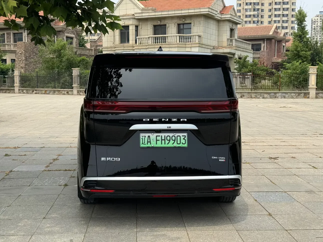 Denza D9 DM