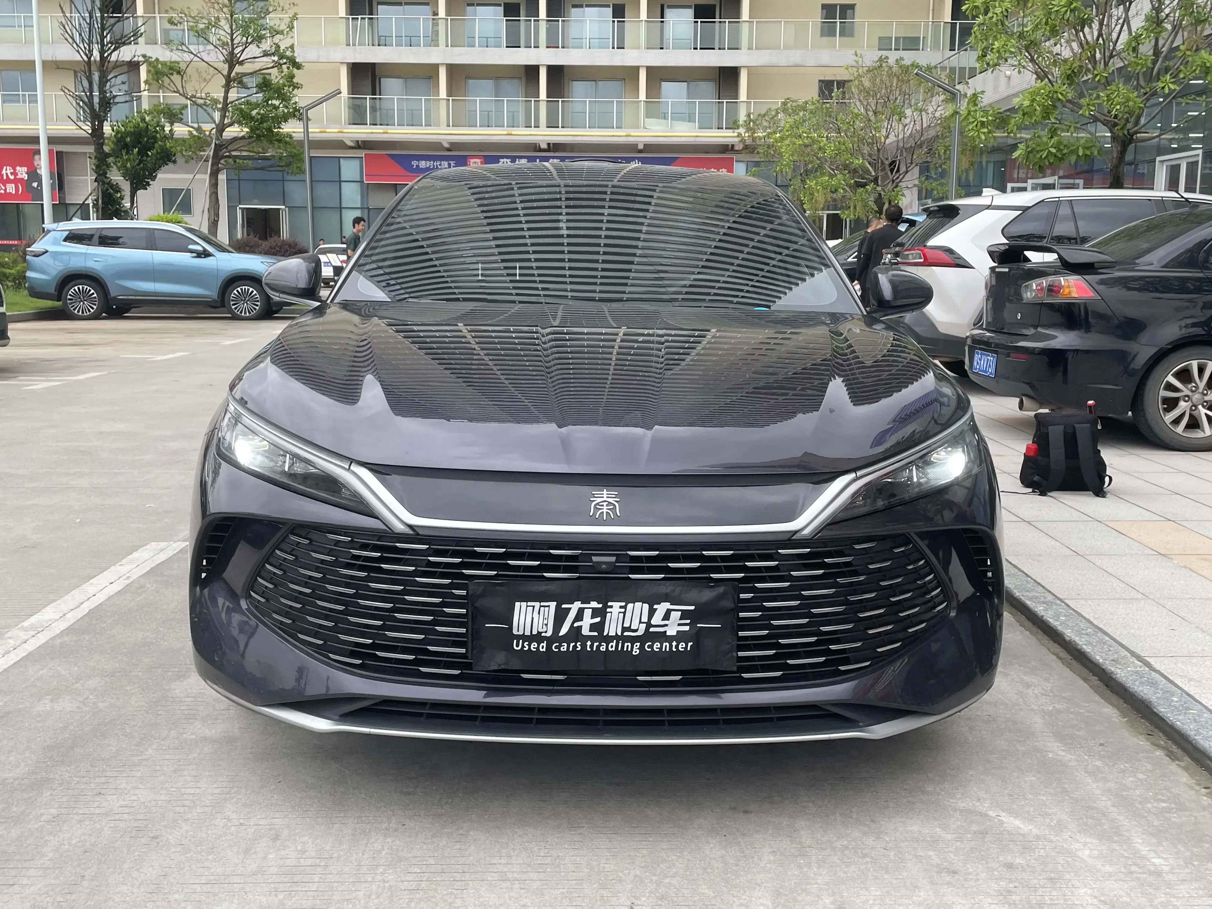 BYD Qin L DM