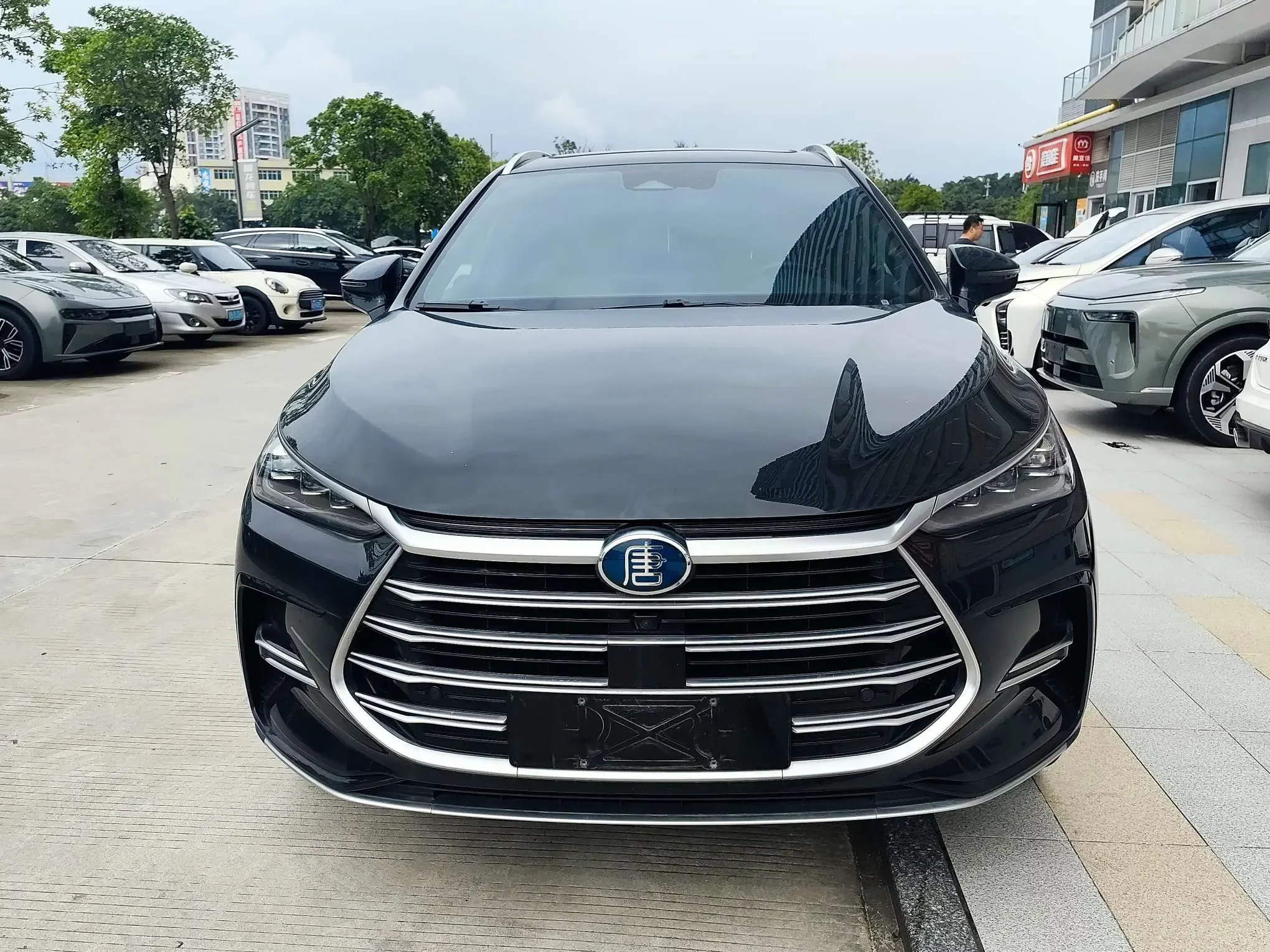 BYD Tang DM