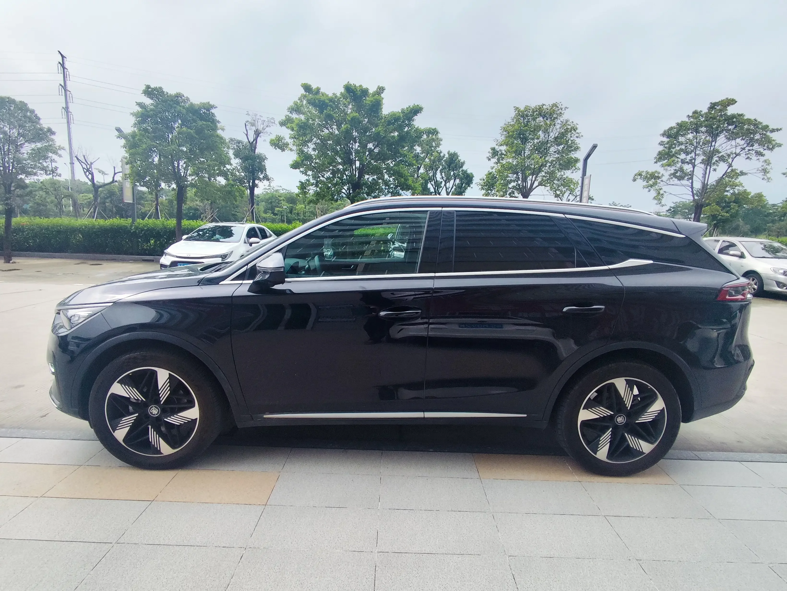BYD Tang DM