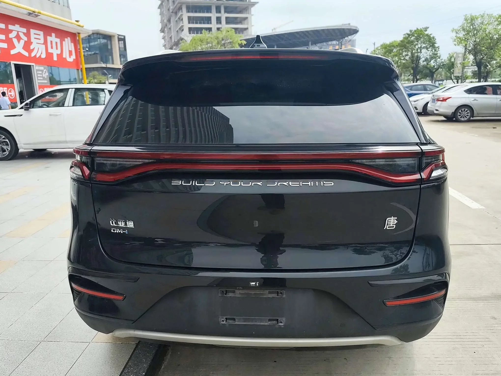 BYD Tang DM