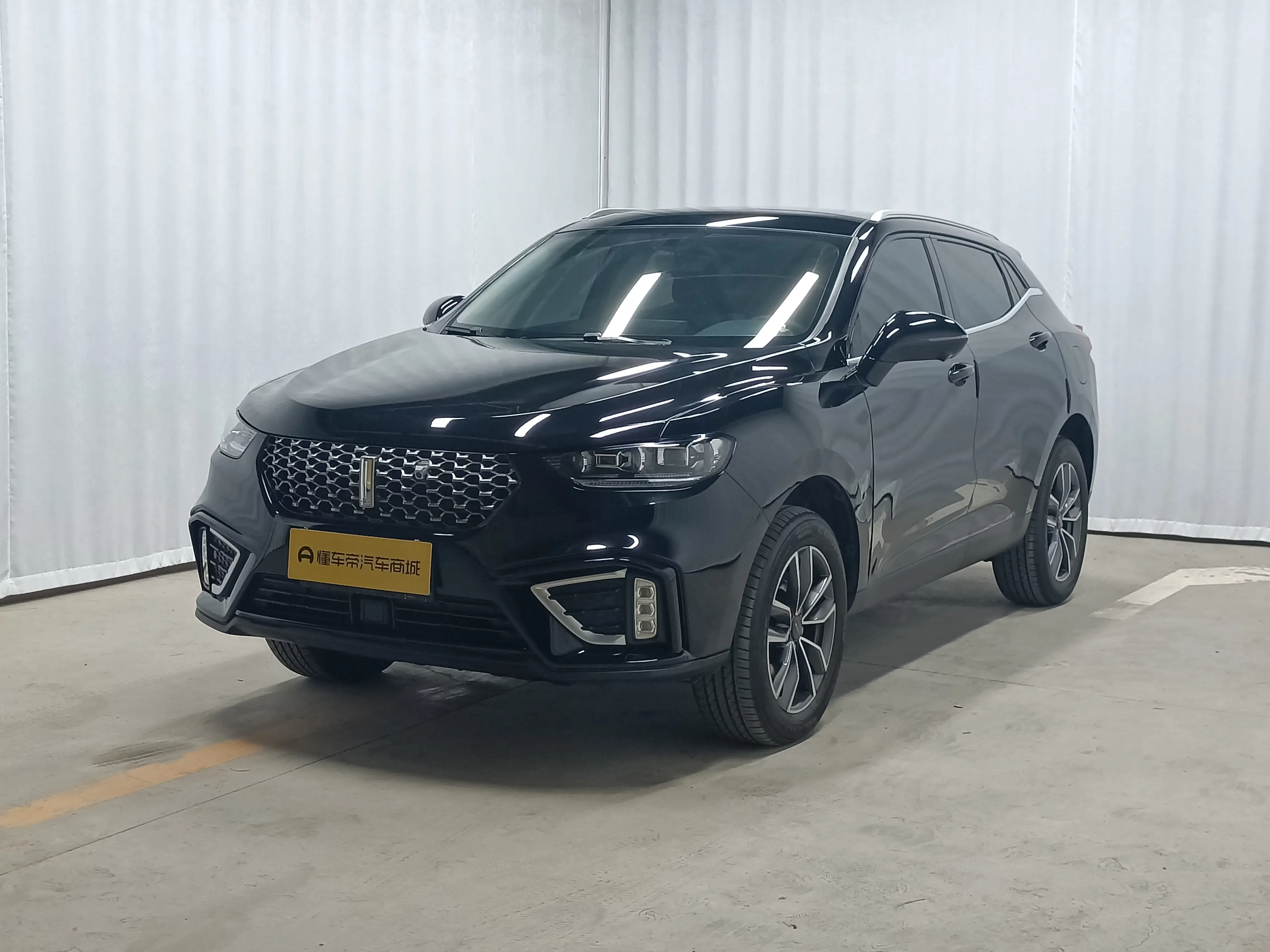 Wey Wei brand VV5