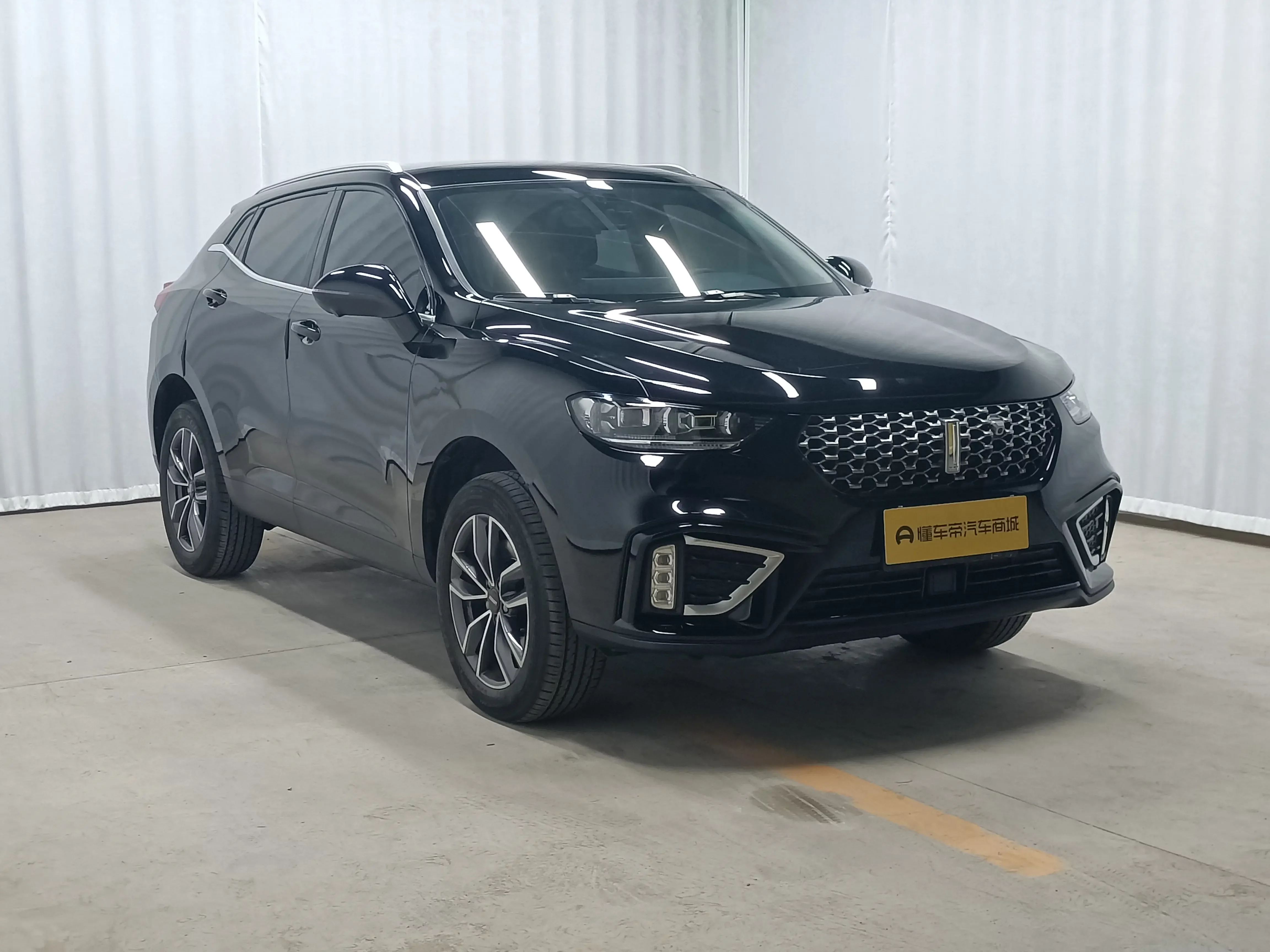Wey Wei brand VV5