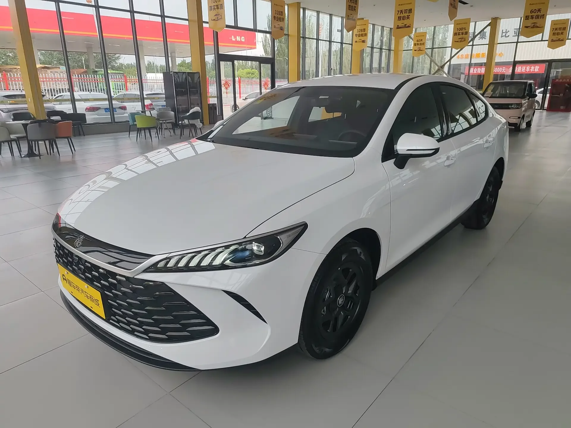 BYD Qin PLUS DM