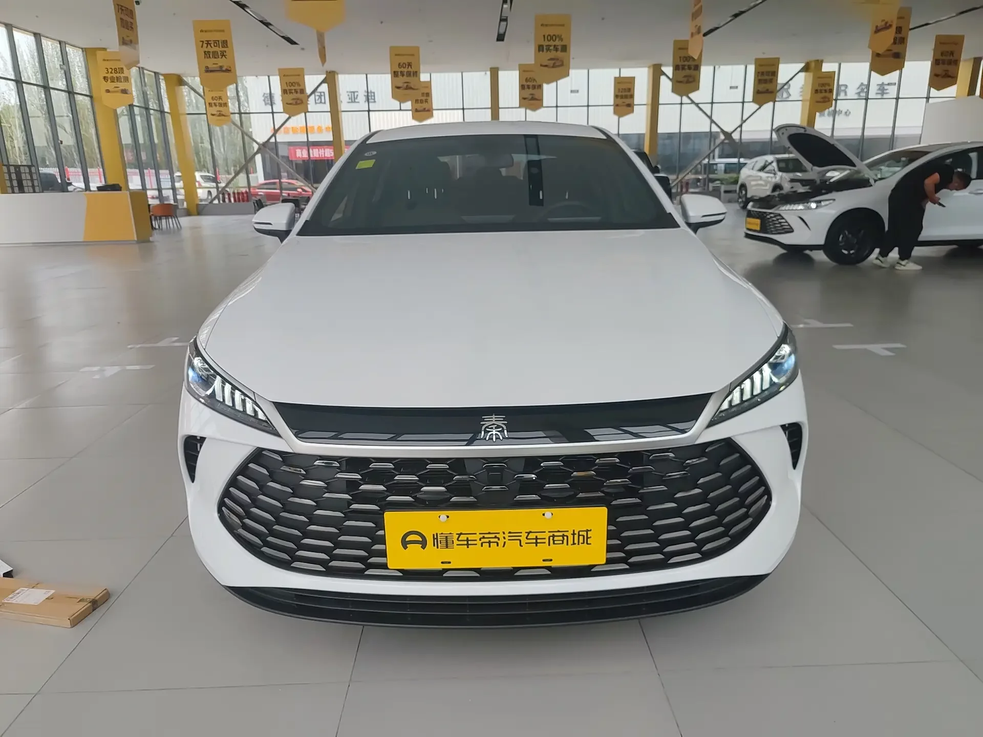 BYD Qin PLUS DM