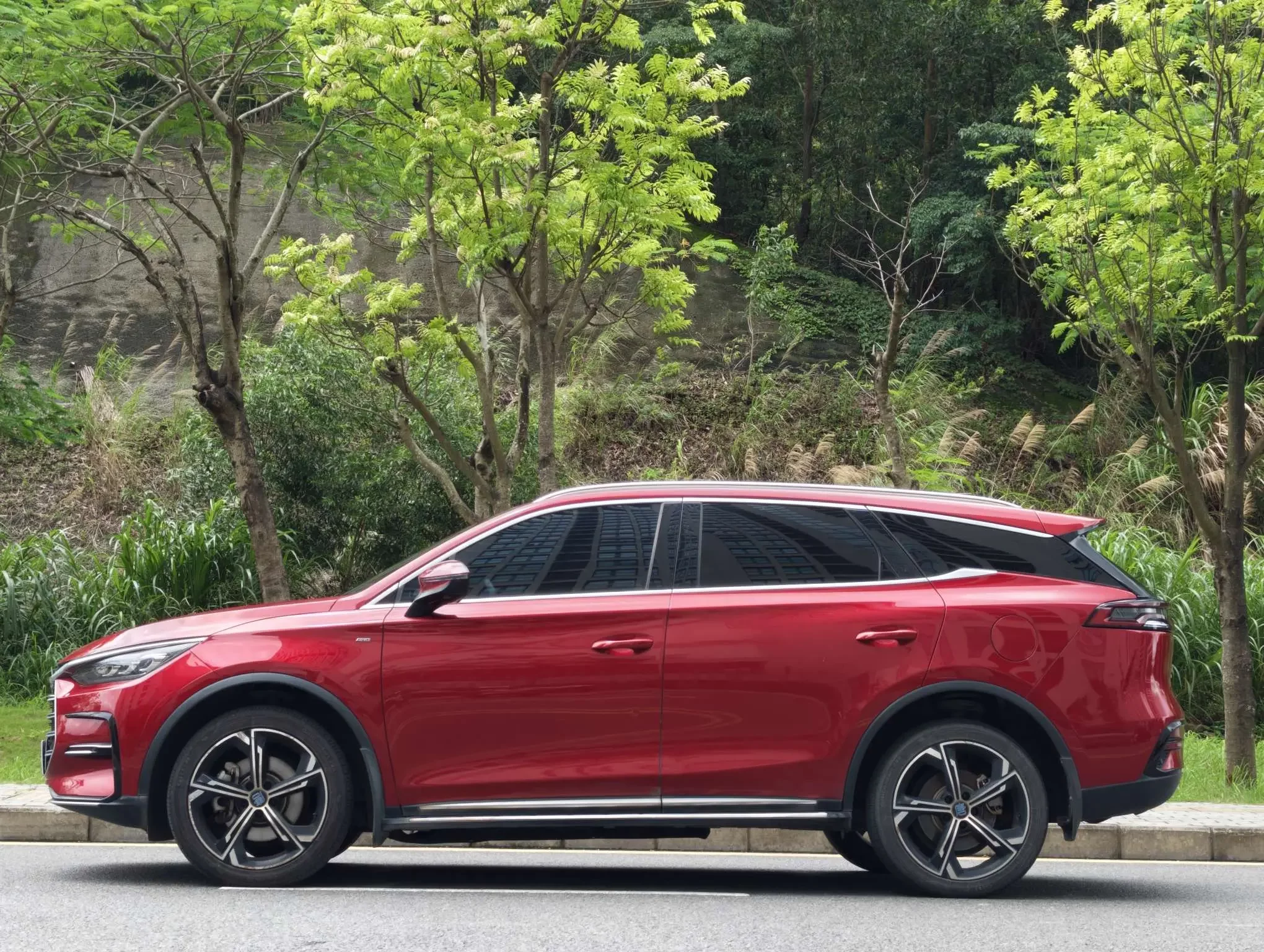 BYD Tang DM