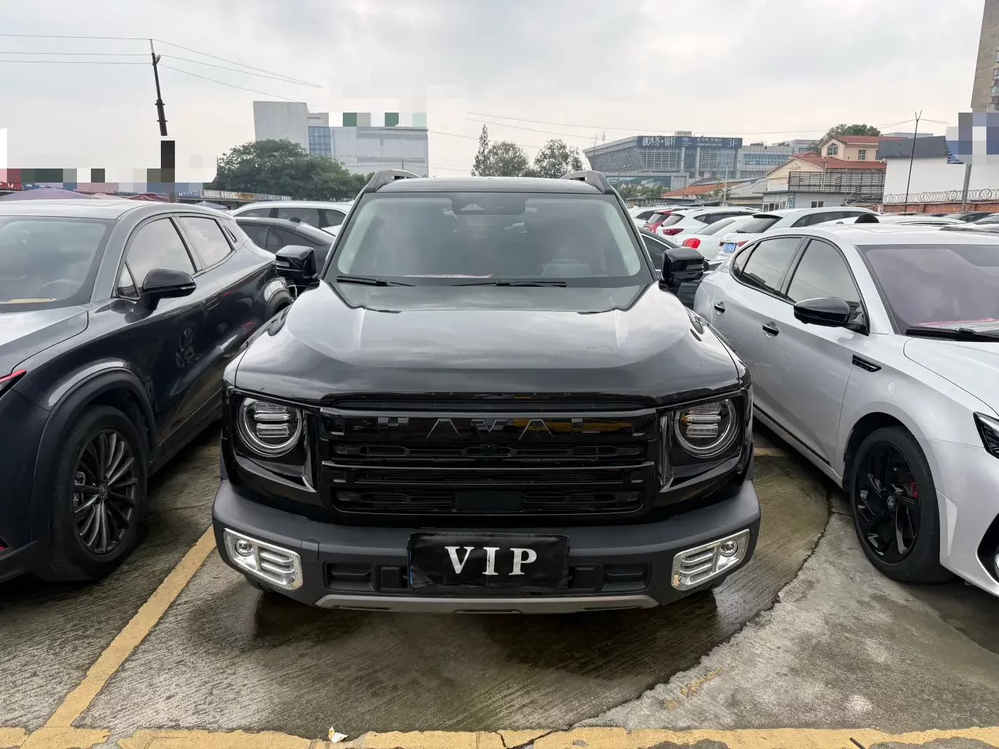 Haval Dargo