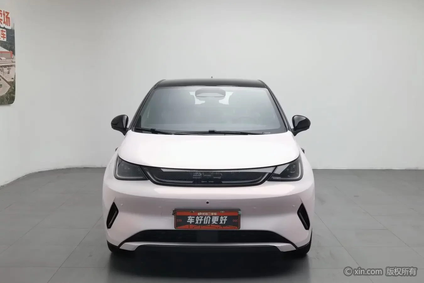 BYD dolphin