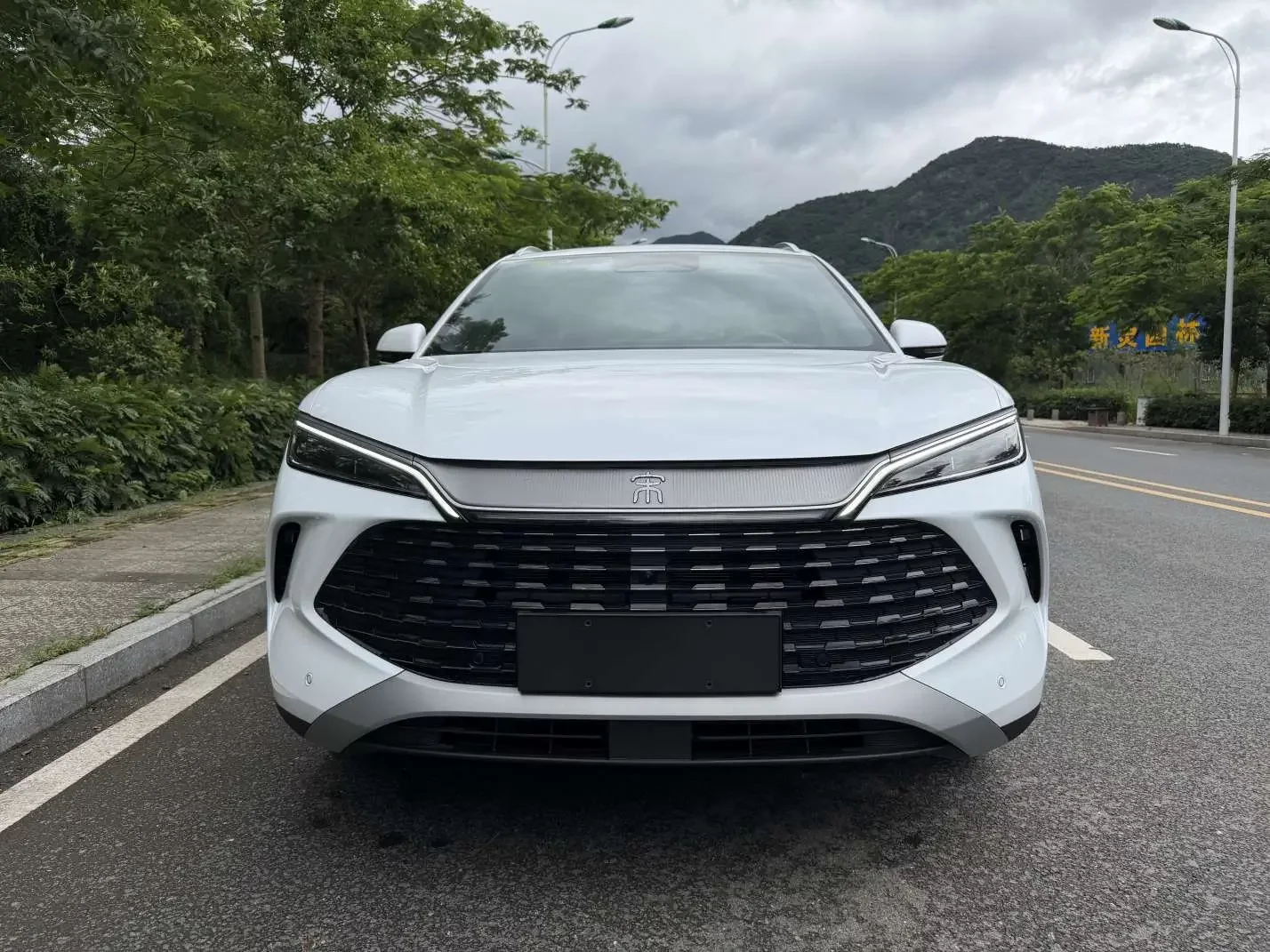 BYD Song L DM