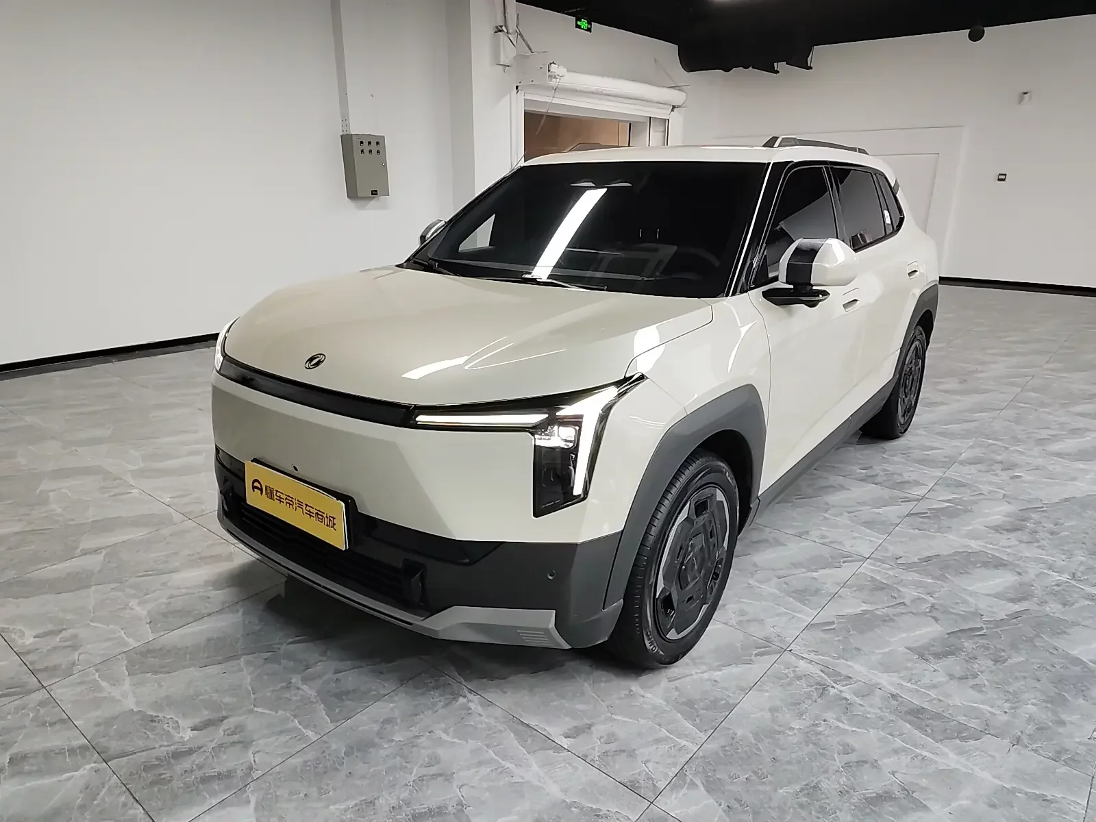 Dongfeng Nano 06