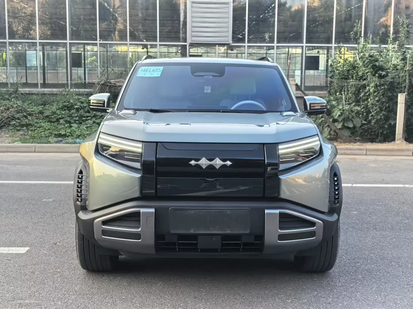 BYD Leopard Titanium 3