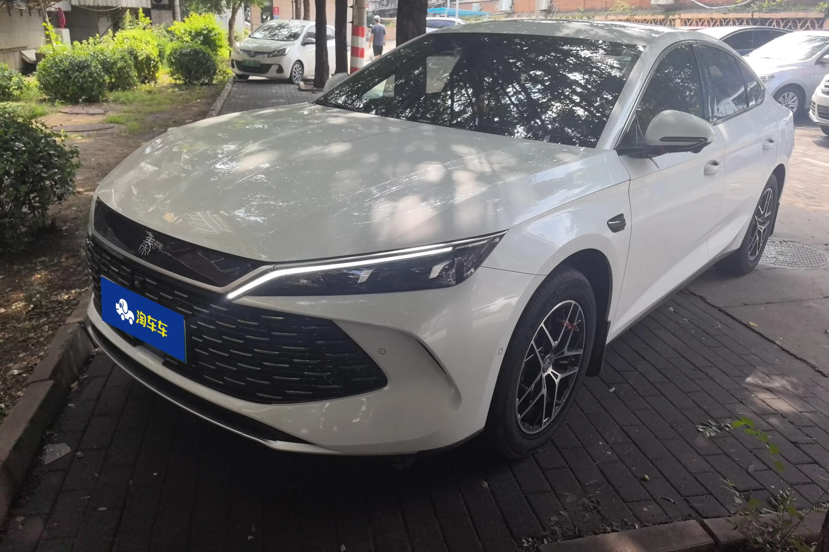 BYD Qin L DM